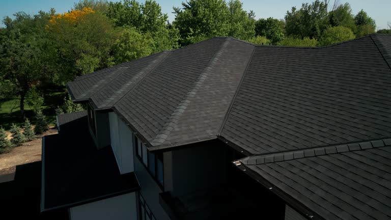 Best Roof Coating and Sealing  in Pleasanton, CA